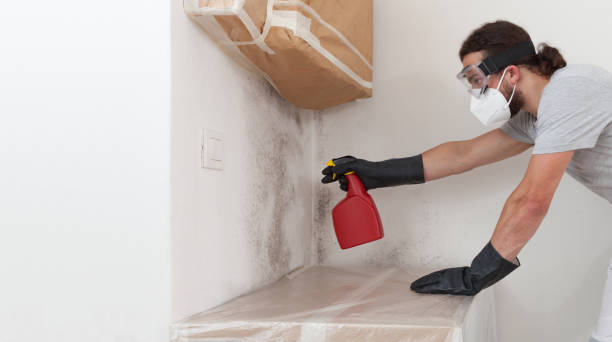 Professional Mold Testing technician working in Valrico, FL